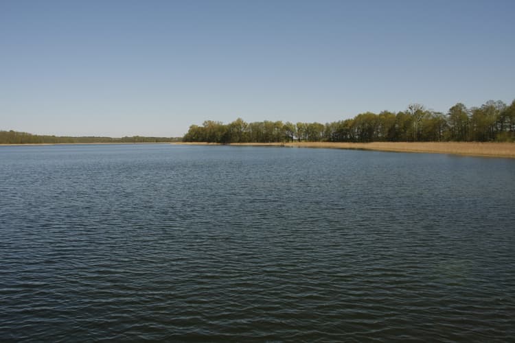 Jezioro Kiełbicze