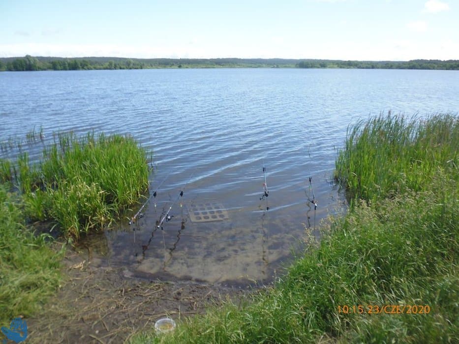 Jezioro Orle