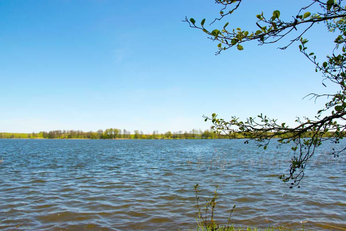 Łowisko Jezioro Wiżajny