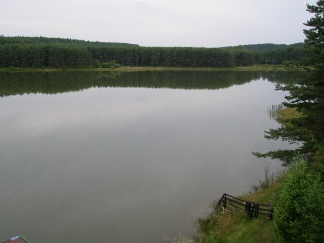 Łowisko na Jeziorze Czarnym Niesiołowice