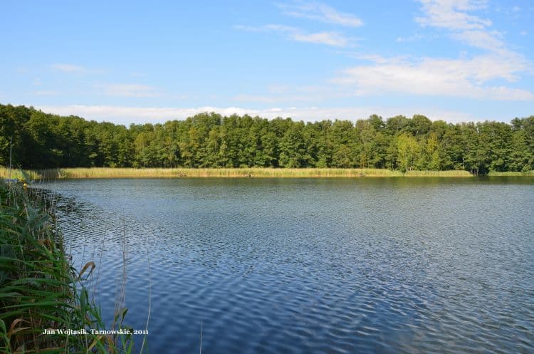 Jezioro Tarnowskie Małe