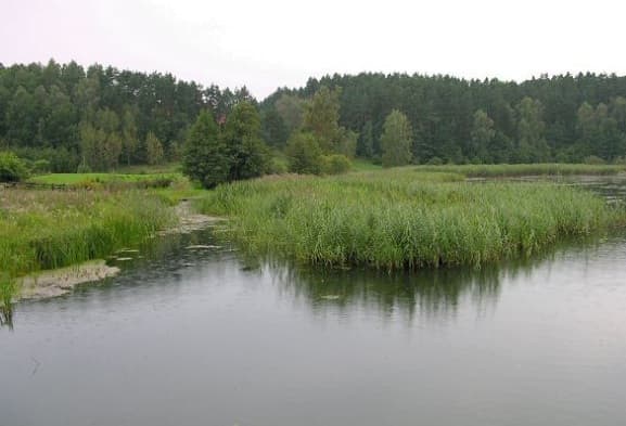 Łowisko Bogdańskie