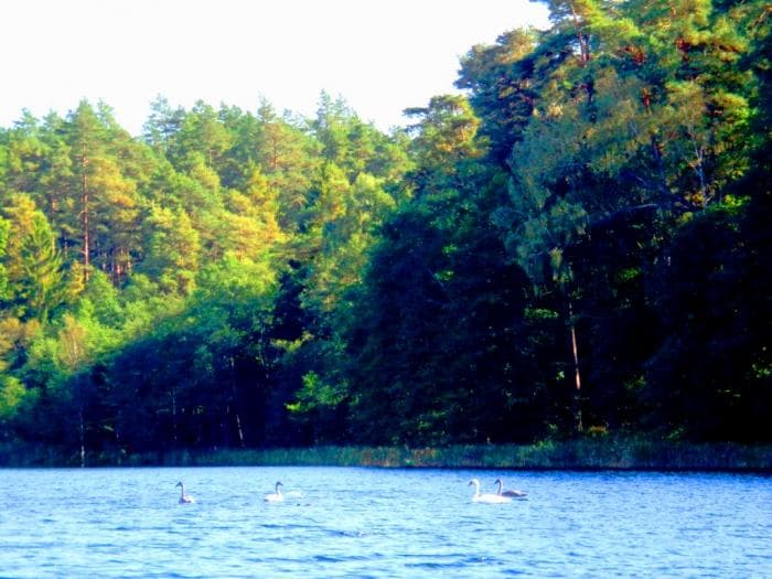 Jezioro Trzcinno