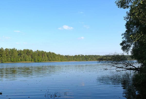 Jezioro Trzcinowe