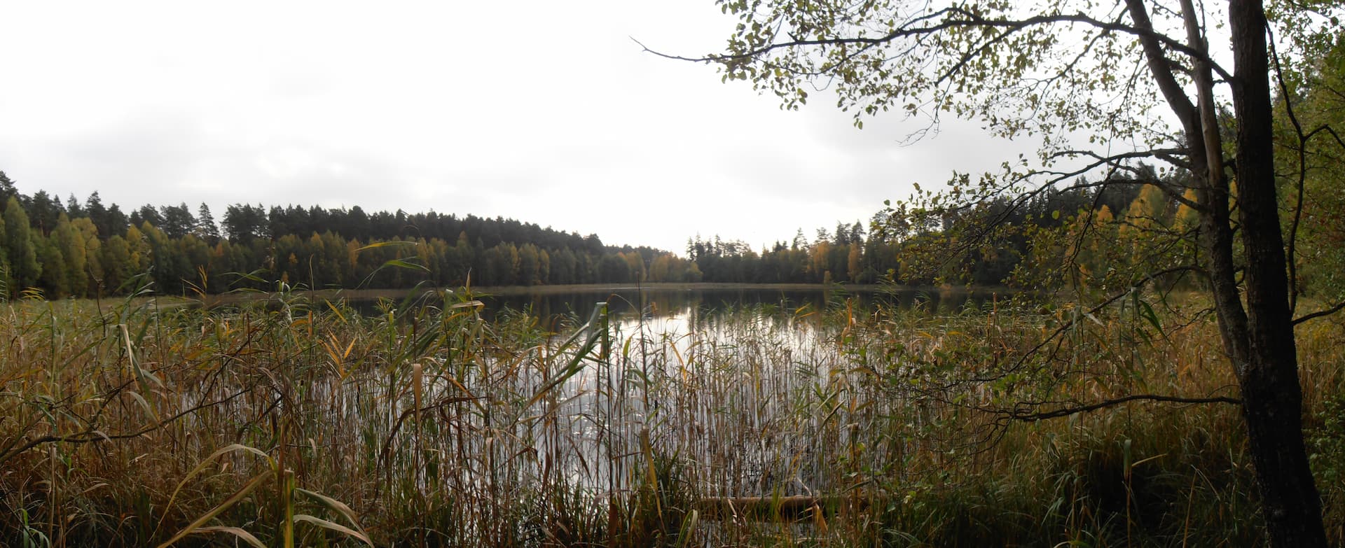 Jezioro Konopno