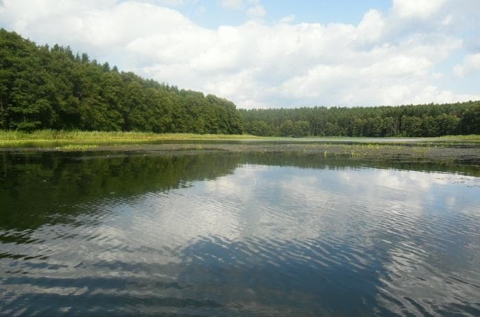 Jezioro Pawlik
