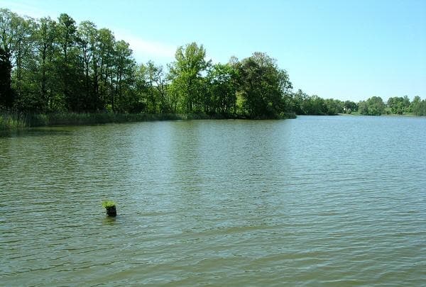 Jezioro Wągiel