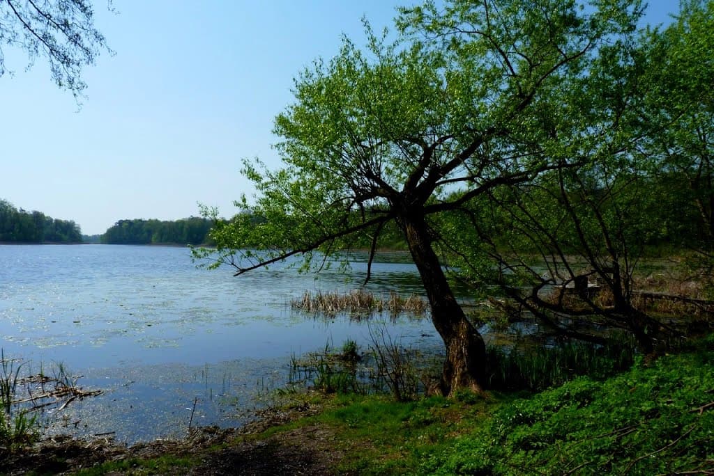 Jezioro Szymbarskie