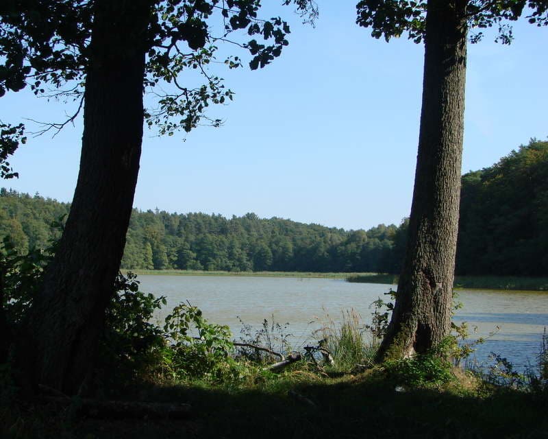Jezioro Januszewskie