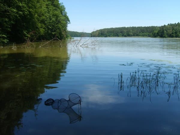 Jezioro Zduńskie