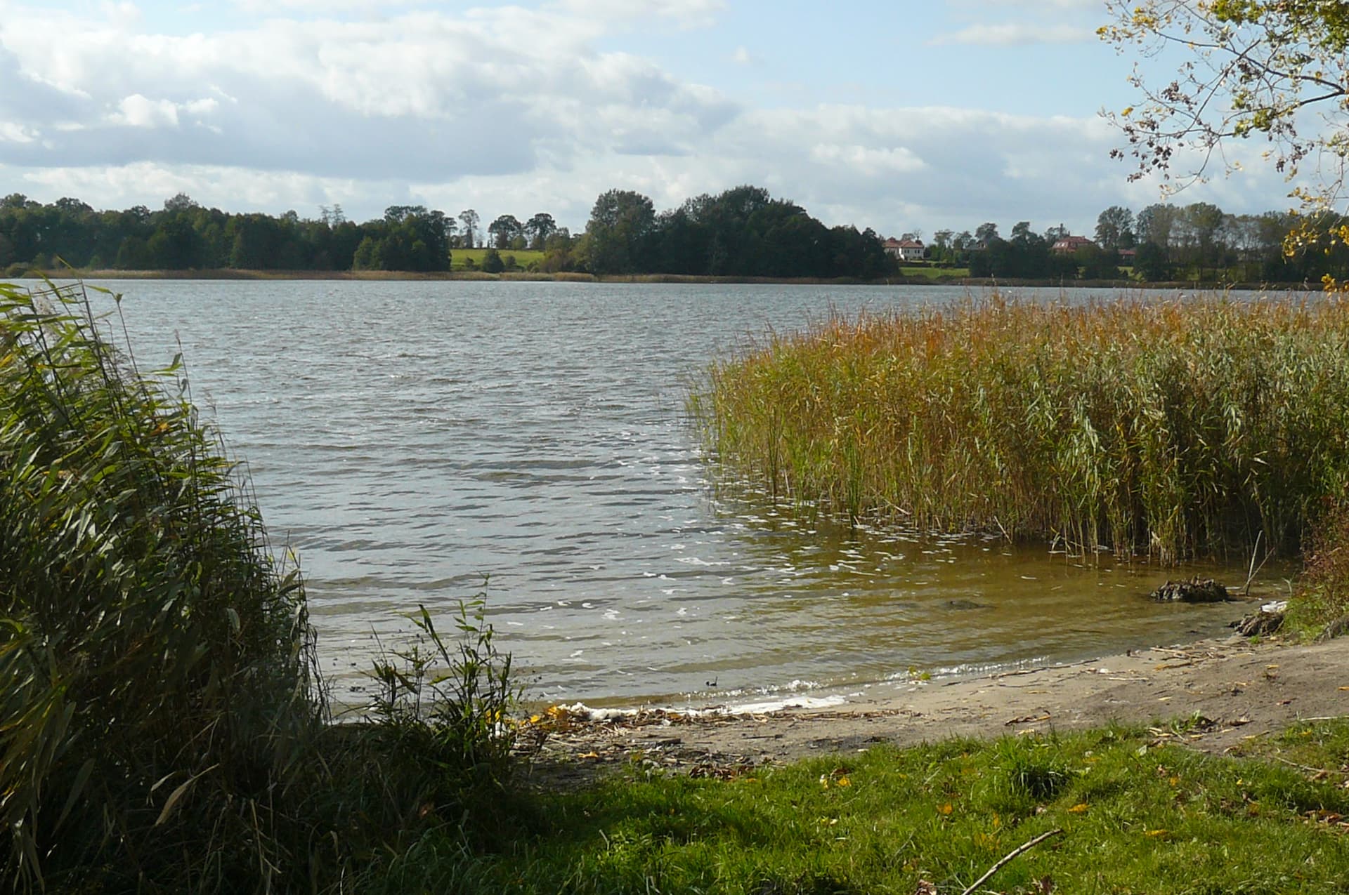 Jezioro Niepruszewskie