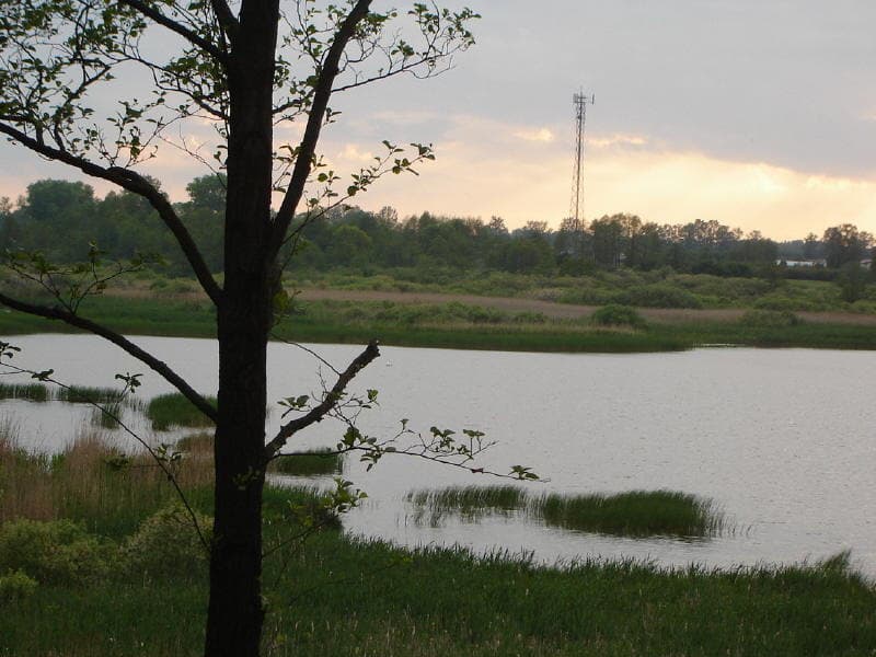 Jezioro Skrwilno