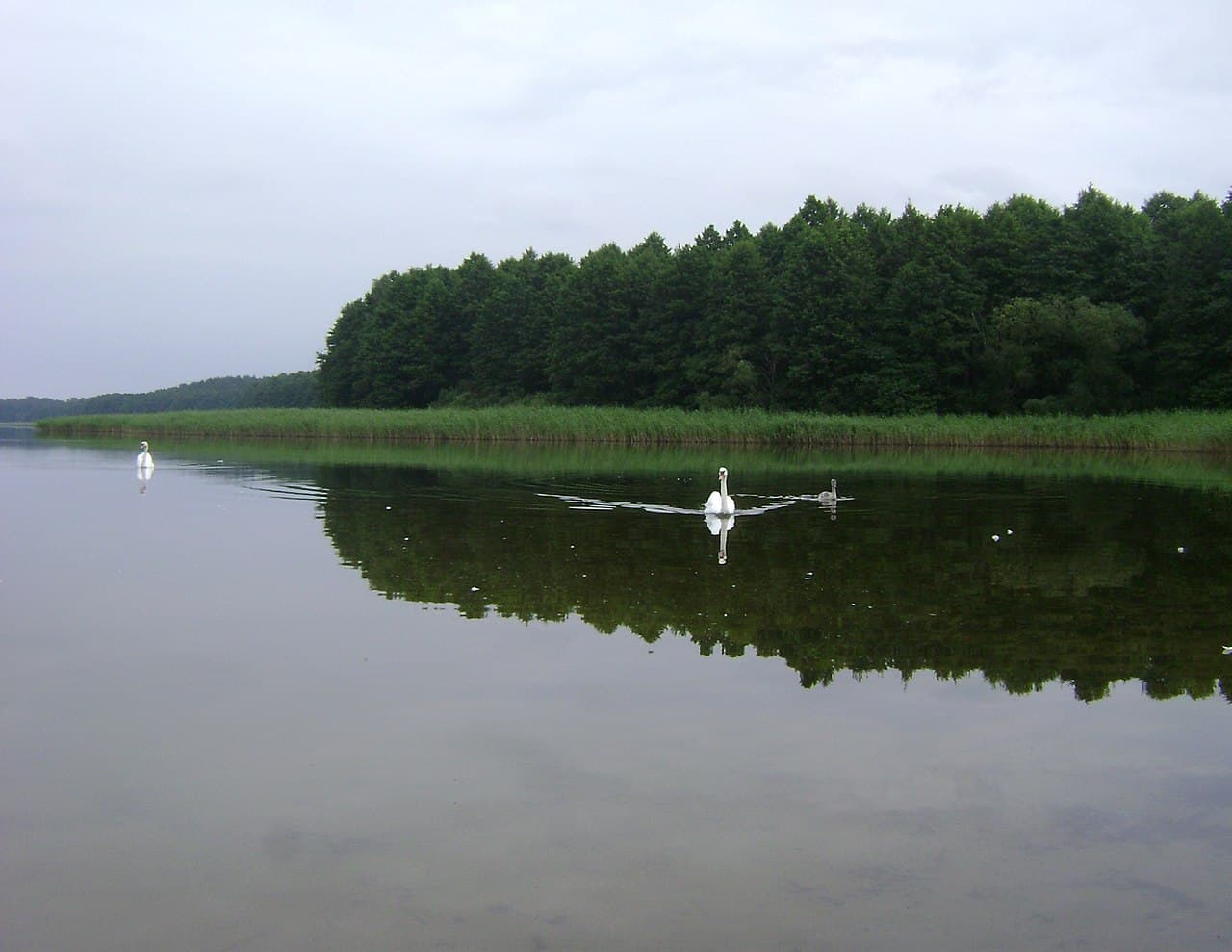 Jezioro Brajnickie