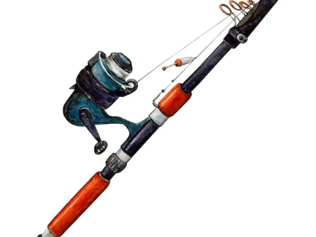 Jaka wędka na grunt? Wyb&oacute;r sprzętu wędkarskiego