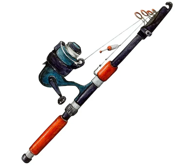 Jaka wędka na grunt? Wyb&oacute;r sprzętu wędkarskiego